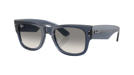 小物 Ray-Ban RB0804V 2000 51 MEGA WAYFARER 8056262885574_angle.png