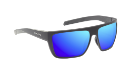 zap220011_zap220031_angle.png