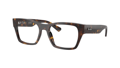Ray-Ban RB5448 eyeglasses