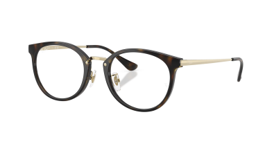 Ray-Ban RB7266D eyeglasses