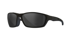 Wiley X Brick sunglasses