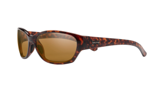 Suncloud Duet sunglasses