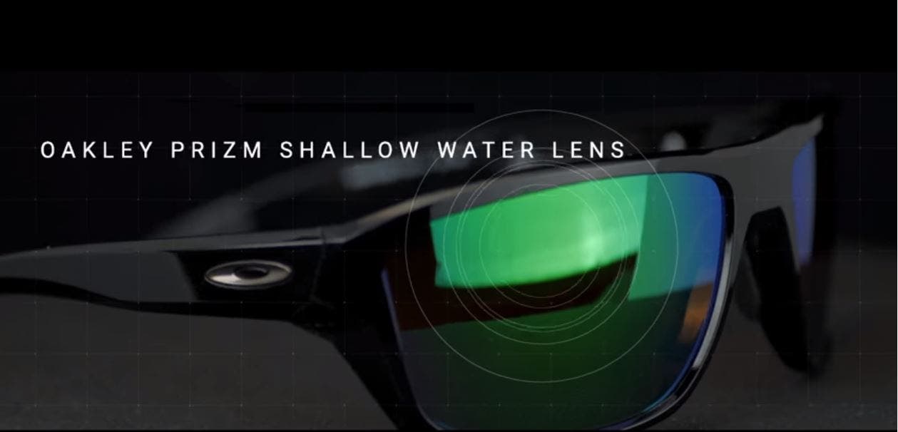 oakley prizm shallow h2o polarized