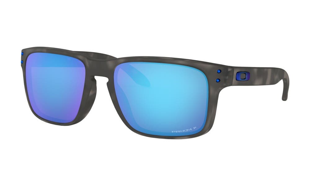 holbrook polarized