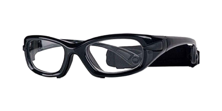 Progear Eyeguard L