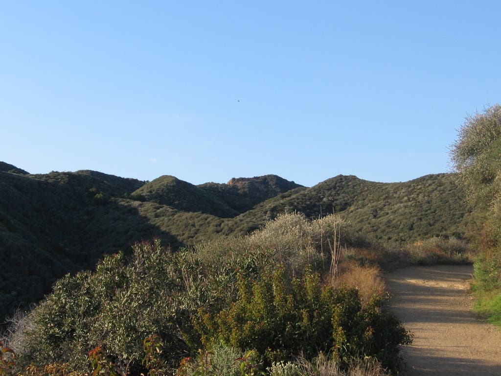 Hiking in Los Angeles