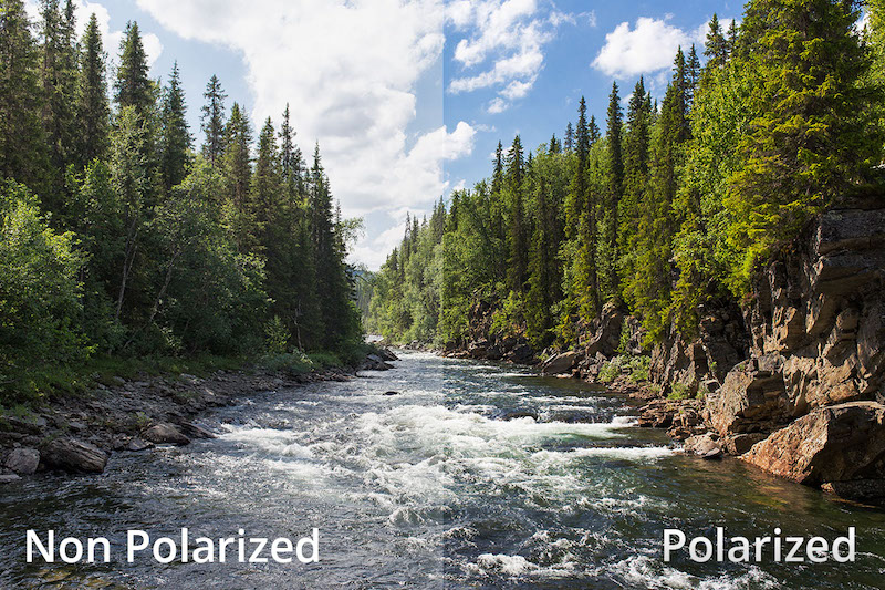 Polarized vs. Non Polarized Lenses