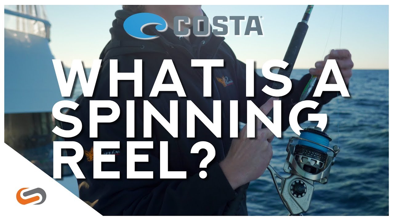 What is a Spinning Reel?