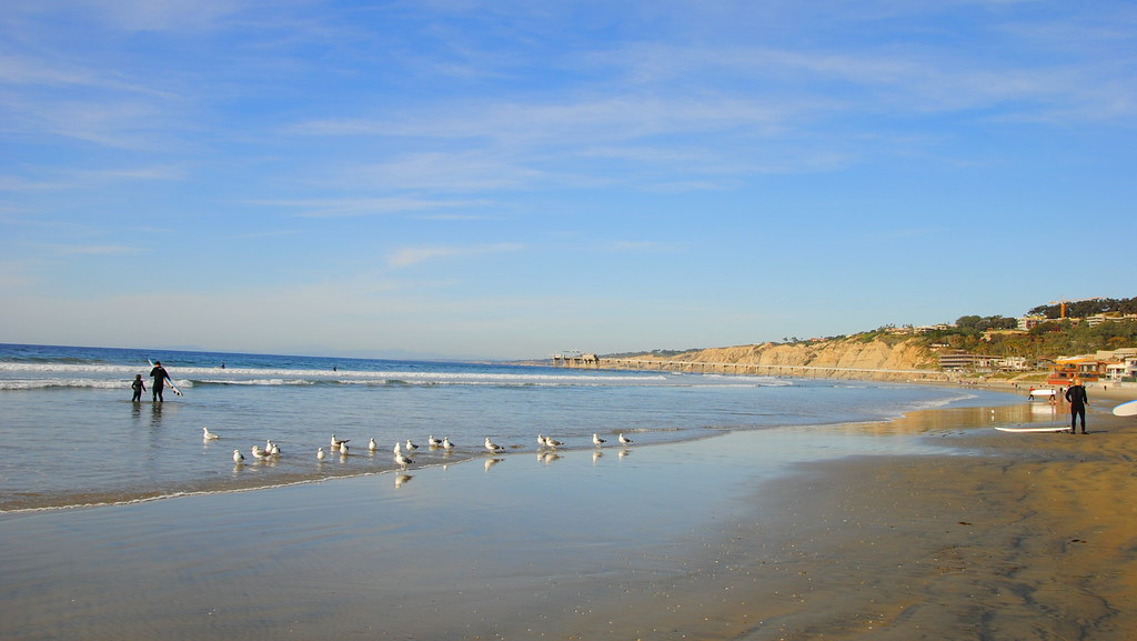 la jolla shores