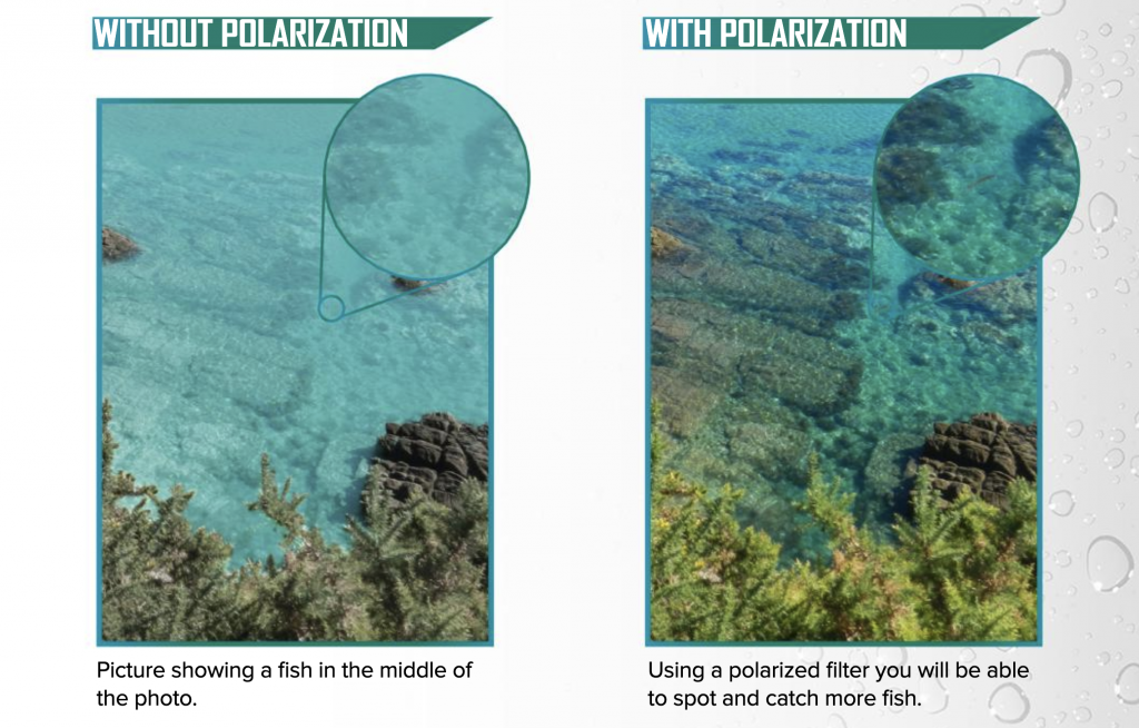 View of water and fish with and without polarized lenses