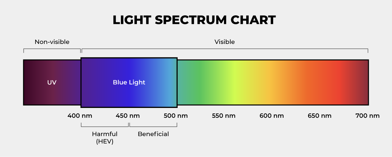 light spectrum chart featuring nonvisible light and visible blue light