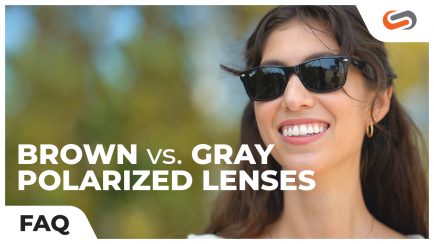 Brown VS Gray Polarized Lenses