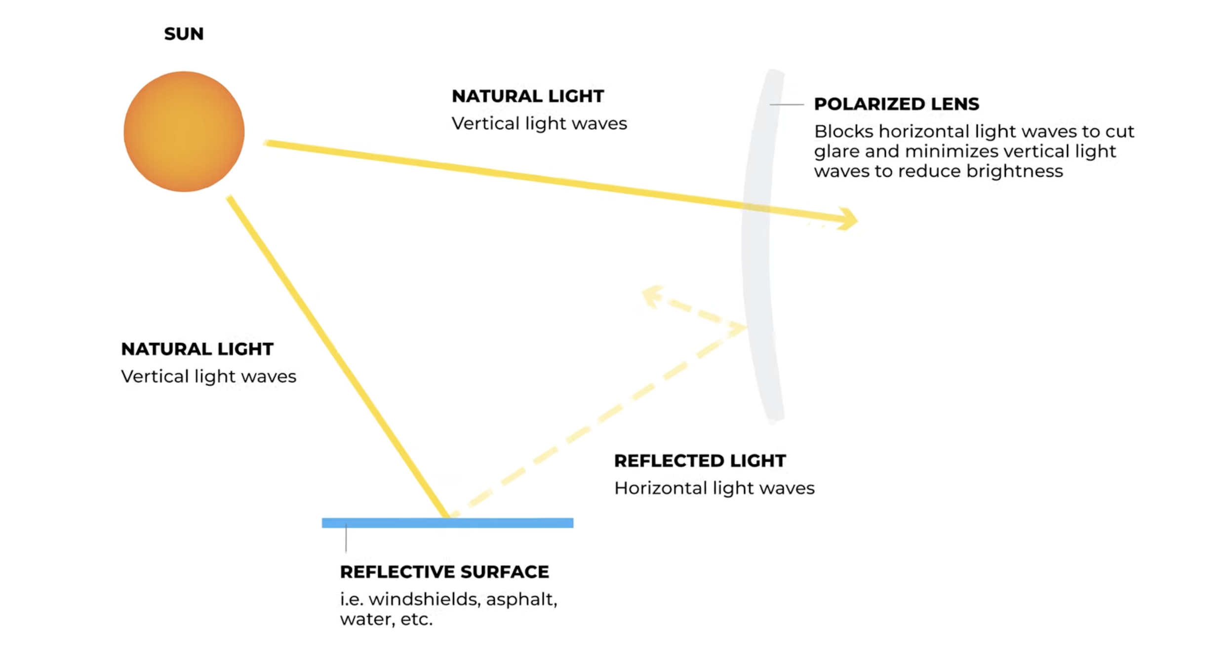 Drawing showing how polarized lenses work