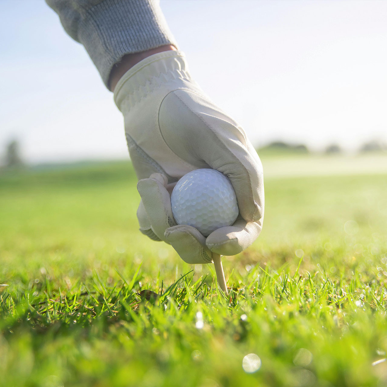 a hand with a white golfing glove teeing up a golf ball in the grass on a white tee 