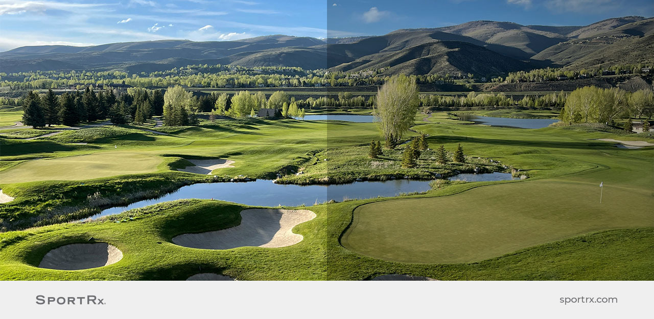 Picture of a golf course with and without gray lenses.